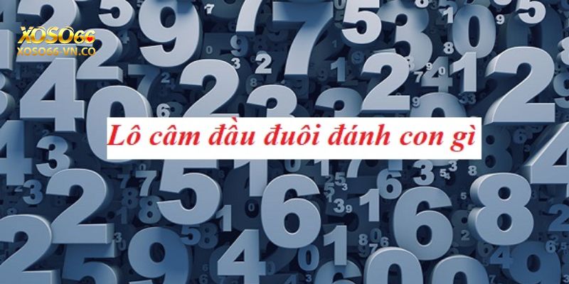 Kỹ Thuật Soi Cầu Lô Câm Tại Nhà Cái Xoso66 Ăn Bạc Tỷ 3 soi cau lo cam xoso66 3